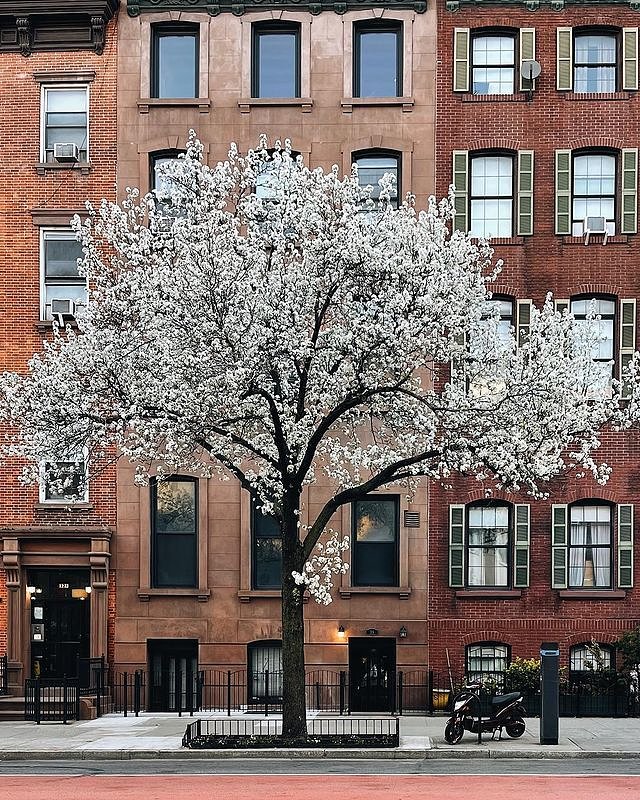 Murray Hill, Manhattan