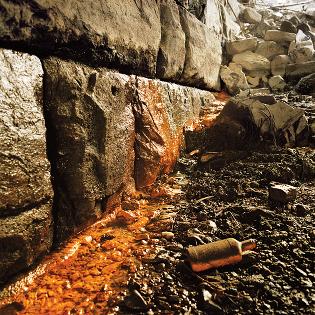 Photograph of Vechte’s Brook by Miska Draskoczy.
