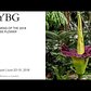 Time-lapse of the 2018 NYBG Corpse Flower Bloom