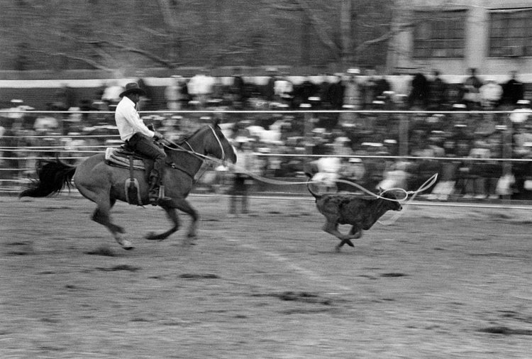 The Fifth Annual Black World Championship Rodeo, Colonel Charles Young Playground, New York, 1988.