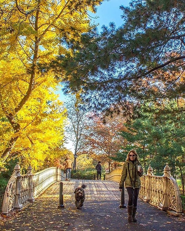 Photo via @newyorkcitykopp 
#viewingnyc