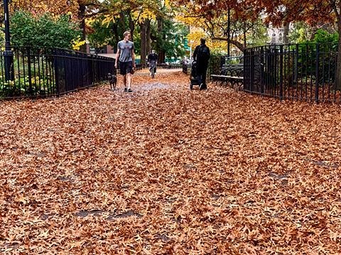 Tompkins Square Park, Alphabet City, Manhattan