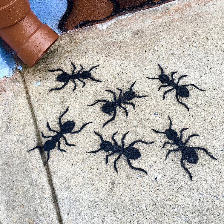 LUNCH TIME🐜🐜🐜 