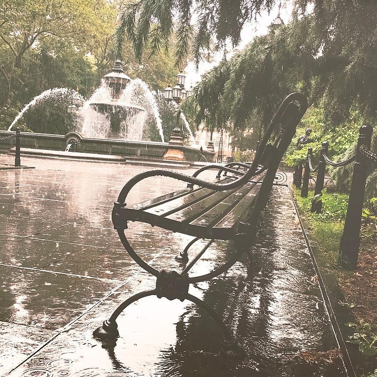 Morning walks in the rain. Hope you all are staying dry and have a lovely day..
Tag a friend(s) you'd explore NYC with