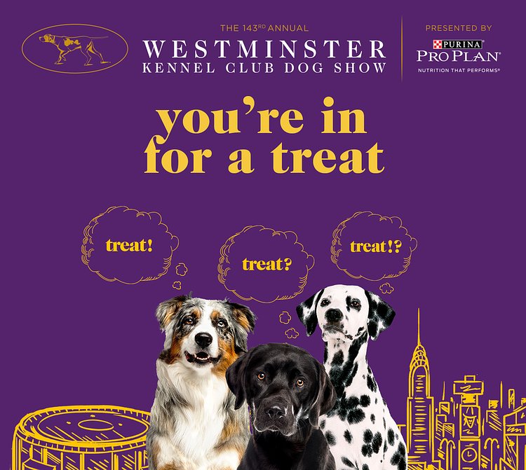 2019 Westminster Kennel Club Dog Show flyer