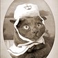 Just found this photo of my cat Arthur from when he was in the Feline Navy. They were the only maritime service whose ships never touched the water.