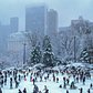 Wollman Rink, Central Park, New York, New York
