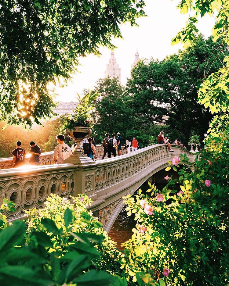 Bow Bridge, Central Park. Photo via @jssilberman #viewingnyc #newyorkcity #newyork #nyc