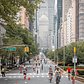 Summer Streets, Park Avenue, Midtown, Manhattan