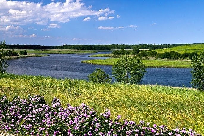 Photo contest submission in the amateur category.