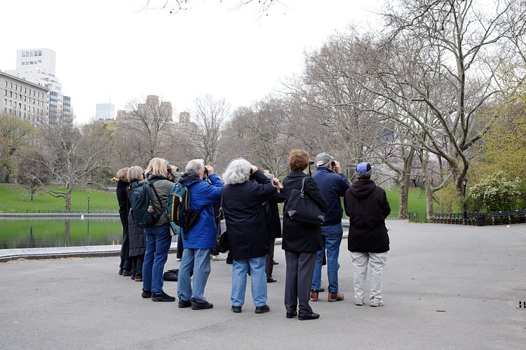 Bird watchers in Central Park