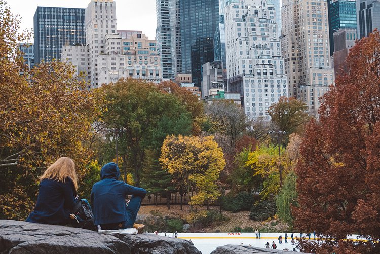 Autumn in Central Park
