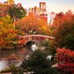 Central Park, Manhattan