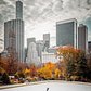 Wollman Rink, Central Park, Manhattan