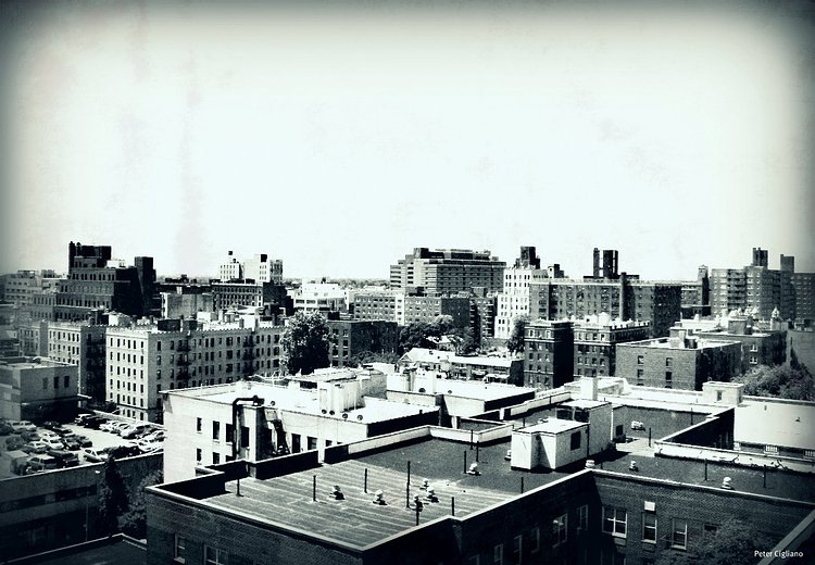 Jamaica Queens New York Rooftops | View out over Jamaica NY.