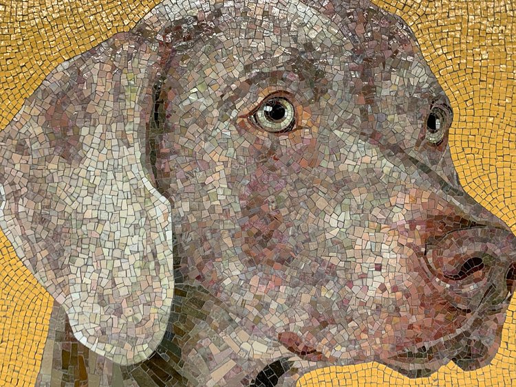 The Newly Reopened 23rd Street F/M Station Has Already Gone To The Dogs