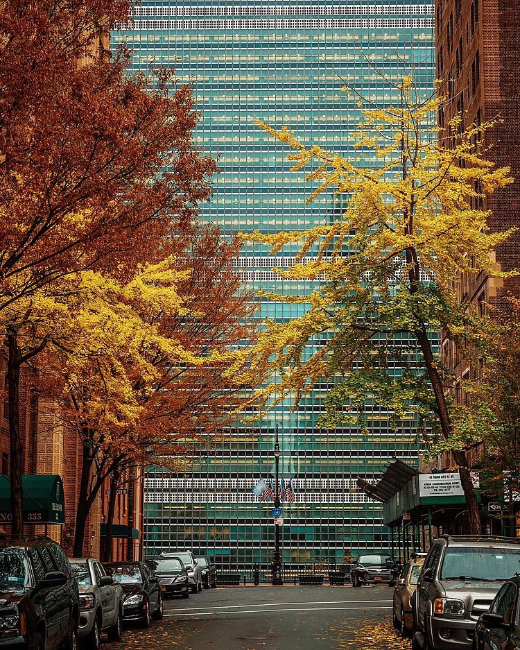 Tudor City's East 43rd street fall foliage (if there is such a thing) coloring the way to the United Nations Secretariat building ✰
#NYC #NY #newyorkcity #newyork #new_york #manhattan #wildnewyork #EmpireStateOfMind #topnewyorkphoto #thisisnewyorkcity #nycprimeshot #made_in_ny #ig_nycity #igersofnyc #gf_nyc #icapture_nyc #instagramnyc #ILoveNY #newyorker #newyorknewyork #igersusa #newyork_instagram #supremenewyork #ig_northamerica #ig_unitedstates #instaglobal #igersmood #seeyourcity #rsa_streetview #streetphoto