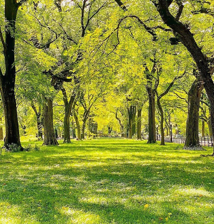 Literary Walk, The Mall, Central Park, Manhattan
