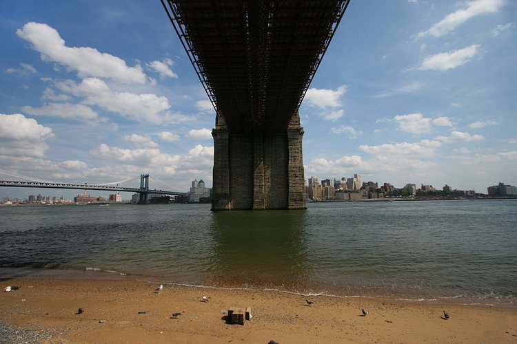 Under Brooklyn Bridge