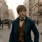 Fantastic Beasts and Where to Find Them - Teaser Trailer [HD]