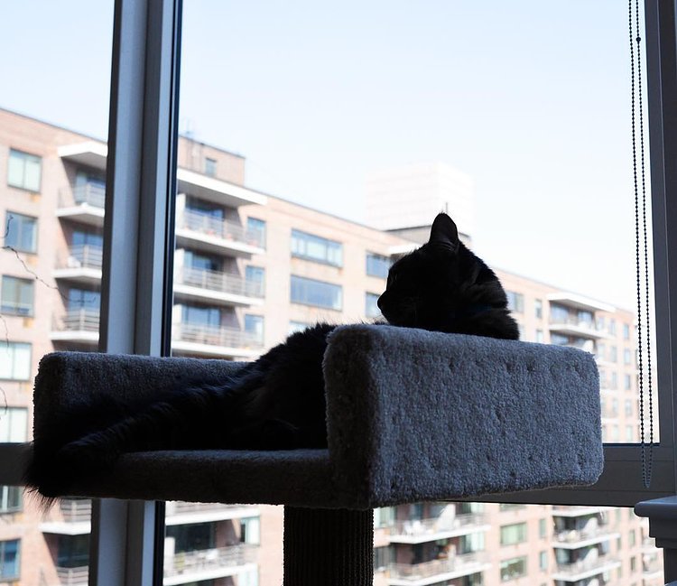 “It’s impossible to truly know me.”
“Ok then, I guess I’ll leave.”
“No wait, come back!”
- Bill, Upper West Side