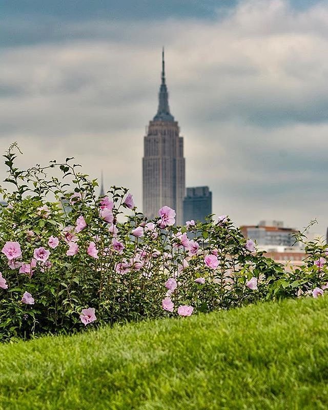 Empire State Building, New York, New York. Photo via @eyecatchingphoto #viewingnyc #newyorkcity #newyork