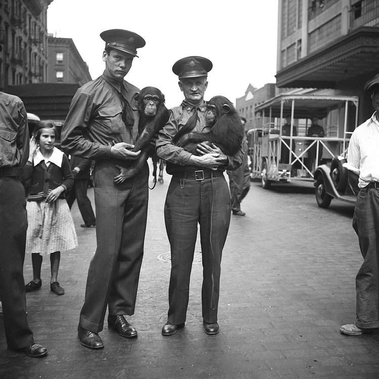 East River Drive celebration, zookeepers with Anna and Jiggs, 1935.