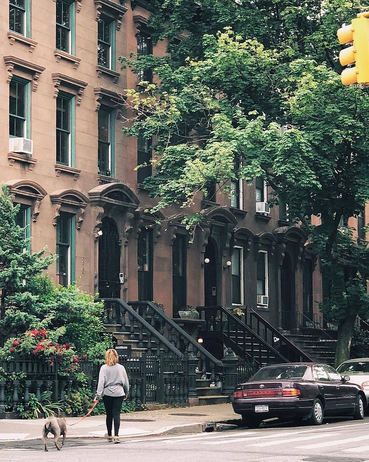 Fort Greene, Brooklyn