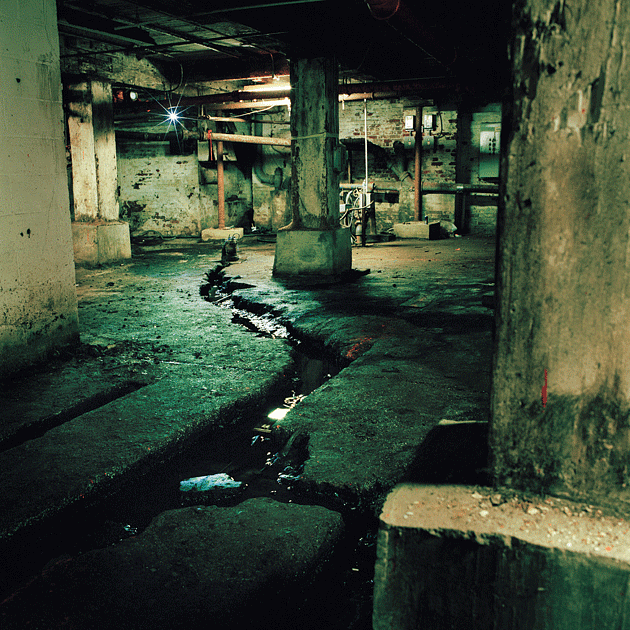 Photograph of Brouwer’s Brook by Miska Draskoczy, whose monograph Gowanus Wild will be published this spring