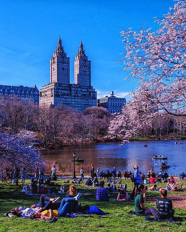 Photo via @kylenowinski_photos 
#viewingnyc