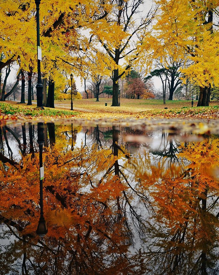 all of the colors today...also why is it still fall in December?