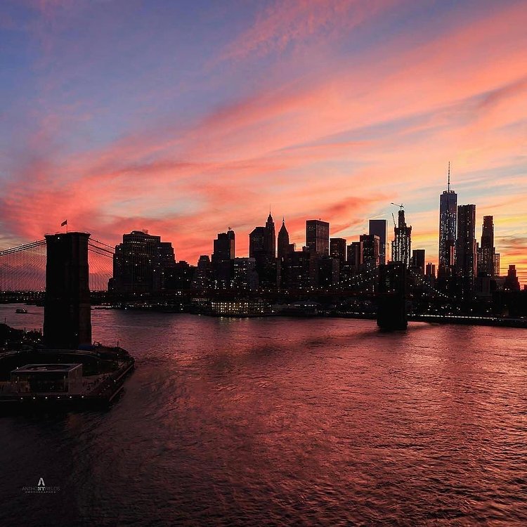 Photo via @afieldsnyc 
#viewingnyc