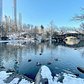 The Pond at Central Park, Manhattan