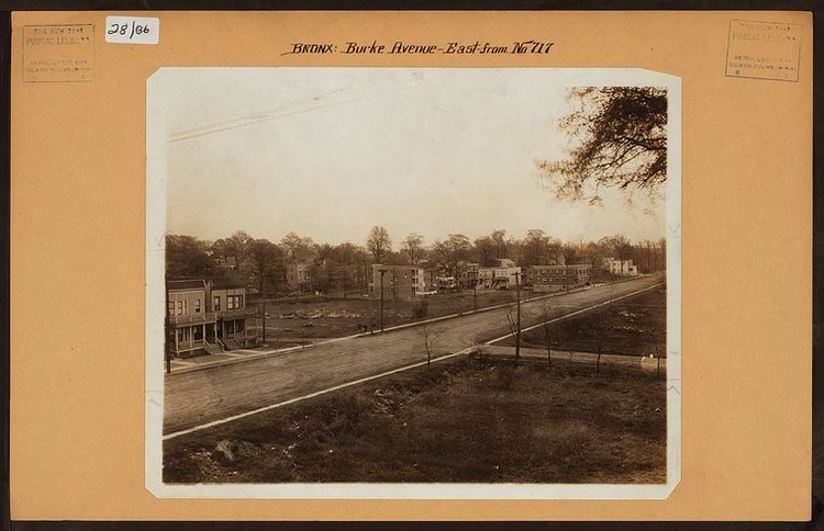 Bronx: Burke Avenue – Cruger Avenue