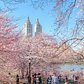 Central Park, Manhattan