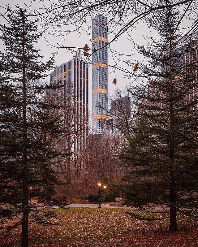 Photo via @dario.nyc 
#viewingnyc