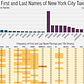 The 20 Most Common First and Last Names of New York City Taxi and Limosine Drivers