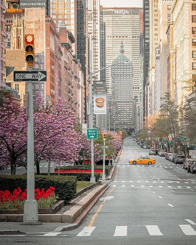 Park Avenue, Midtown, Manhattan