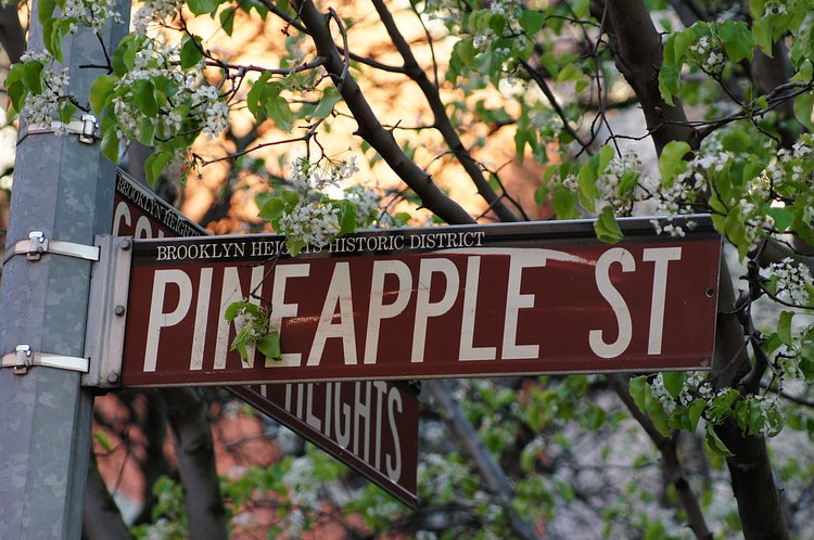 Pineapple Street, Brooklyn Heights, Brooklyn