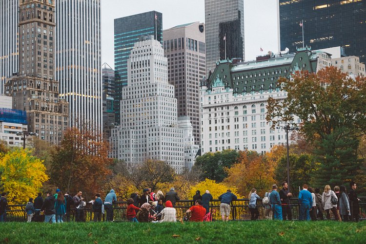 Autumn in Central Park