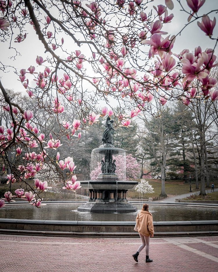 Bethesda Terrace and Fountain, Central Park, Manhattan