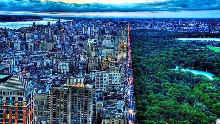 Where city and park meet, NYC.