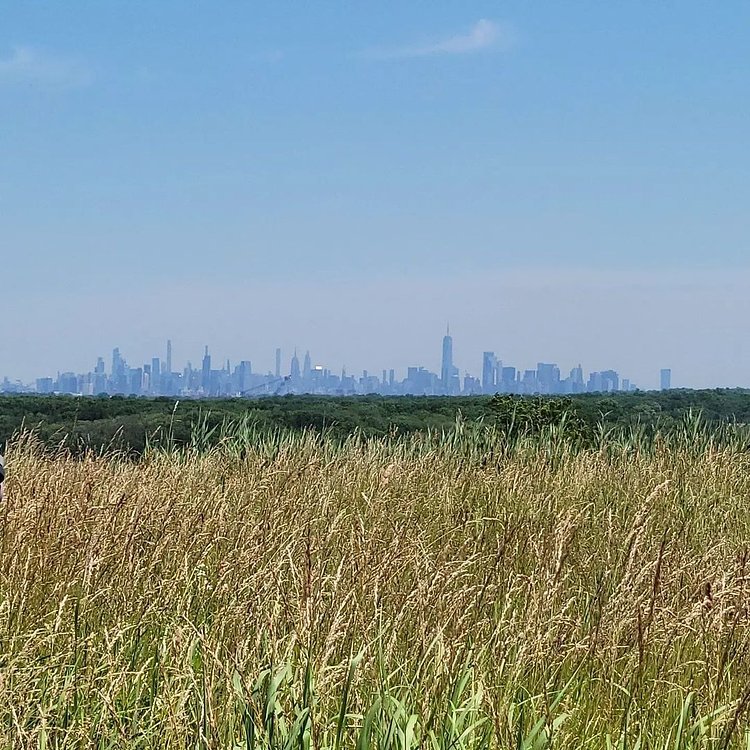 Manhattan Skyline from Freshkills Park, Staten Island