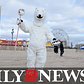 See It: 2016 Coney Island Polar Bear Plunge