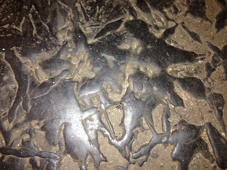 Close-up of NYC subway platform gunk.