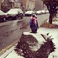 Glad he bundled up #jacksonheightspenguin #jacksonheights