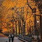 The Mall in Central Park, Manhattan