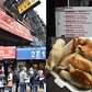 China North Dumpling | Check out Viewing NYC for more info on the 2015 Chinatown Dumpling Crawl and to see who won!

<a href="https://viewing.nyc/the-best-dumpling-in-the-2015-viewing-nyc-chinatown-dumpling-crawl-is/" rel="nofollow">viewing.nyc/the-best-dumpling-in-the-2015-viewing-nyc-chi...</a>