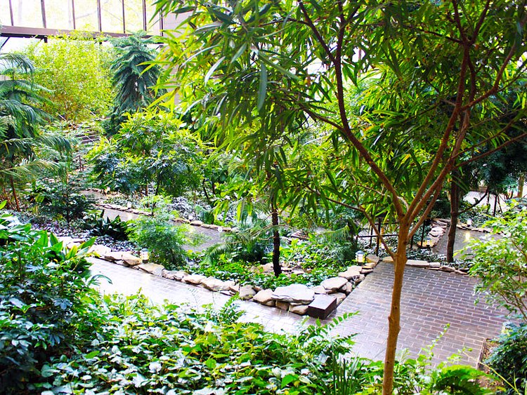 E 43rd St. and 2nd Avenue