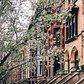 Brooklyn Heights, Brooklyn